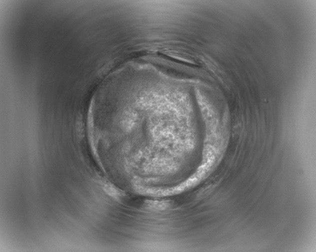 X0000069810469200606091839