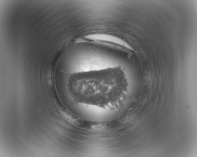 X0000069810470200606091839