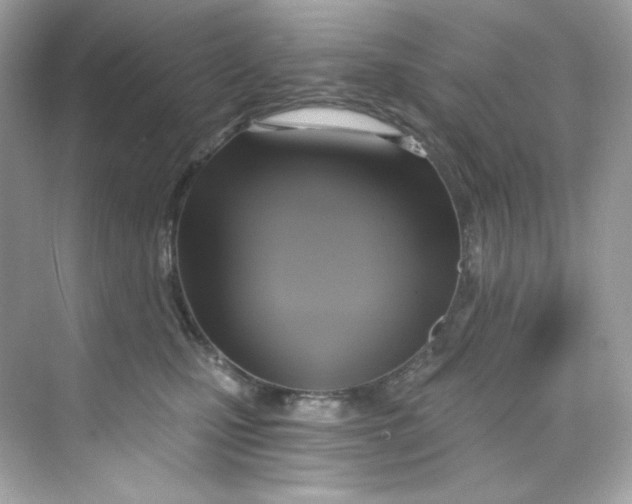 X0000069810471200606091839