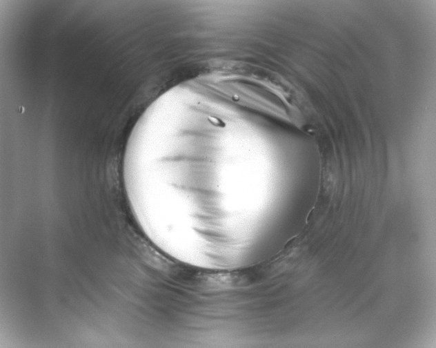 X0000069810473200606091839