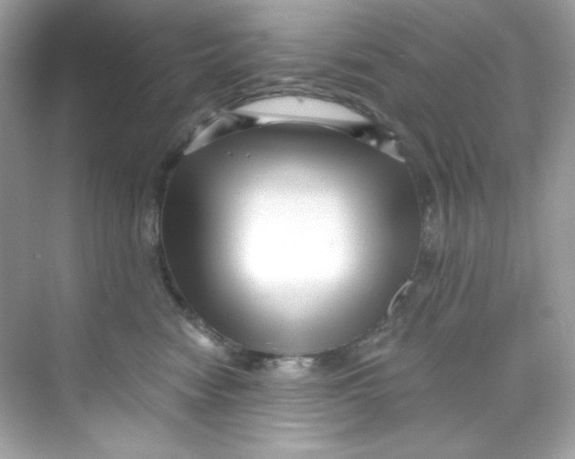 X0000069810474200606091839