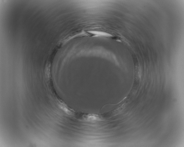 X0000069810475200606091839