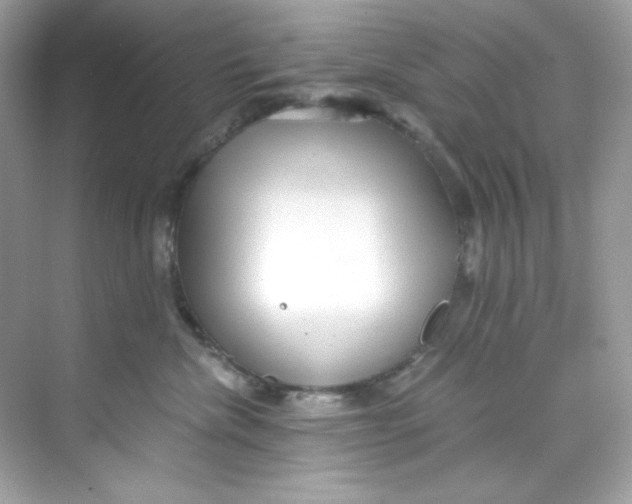 X0000069810476200606091839