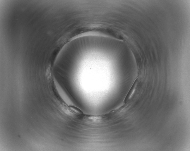 X0000069810478200606091840