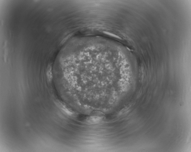 X0000069810479200606091840