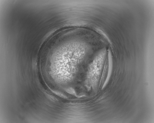 X0000069810483200606091839