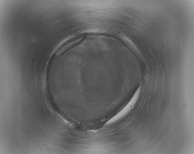 X0000069810484200606091839