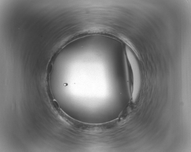 X0000069810485200606091839