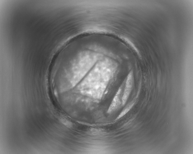 X0000069810487200606091839