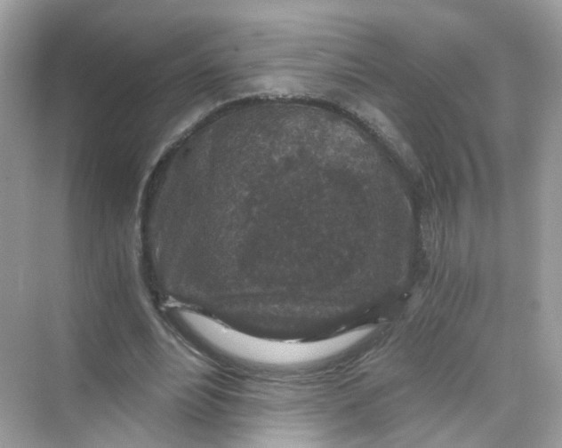 X0000069810488200606091839