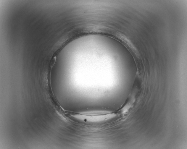 X0000069810489200606091839