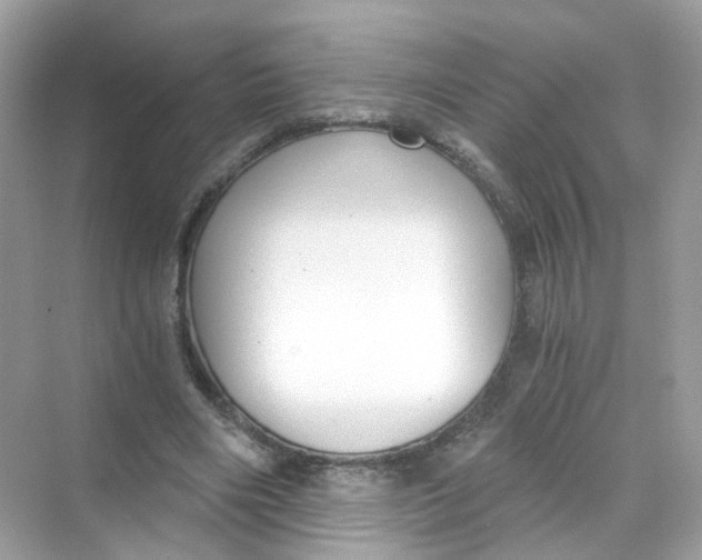 X0000069810490200606091839