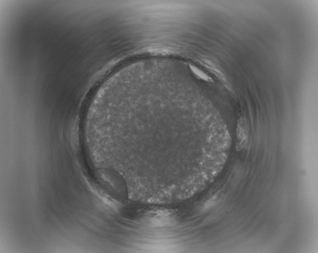 X0000069810492200606091839