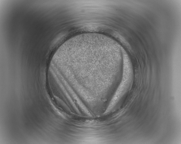 X0000069810493200606091839