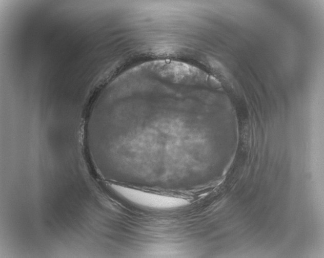 X0000069810495200606091838