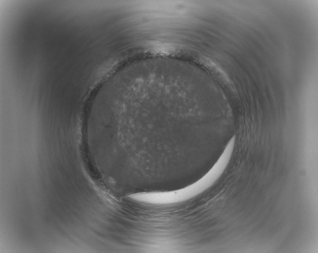 X0000069810496200606091838