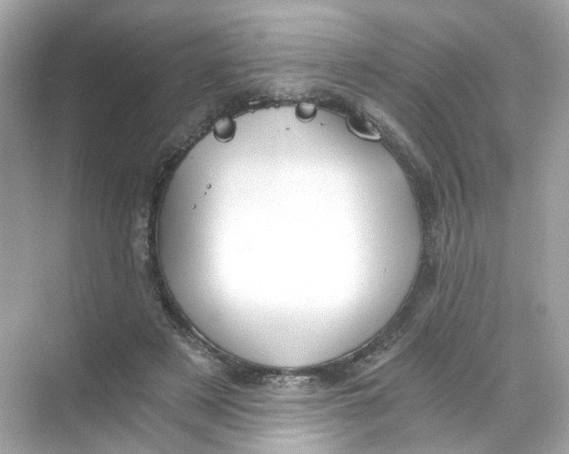 X0000069810497200606091838