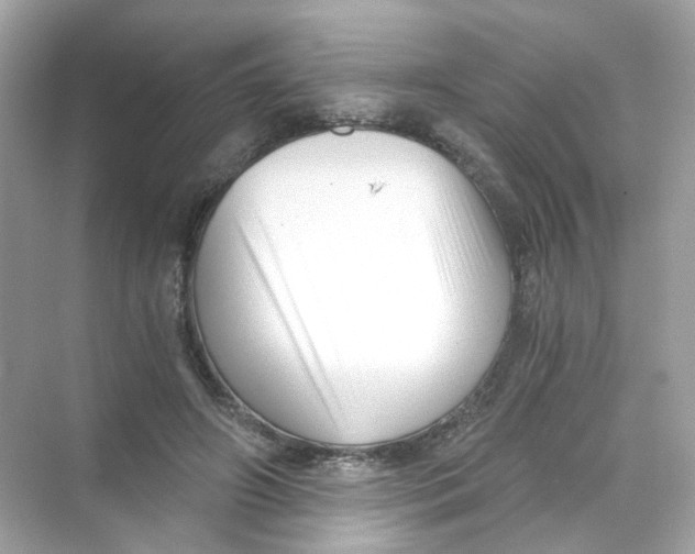 X0000069810498200606091838