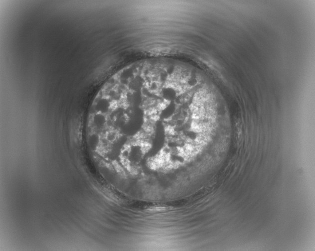 X0000069810499200606091838