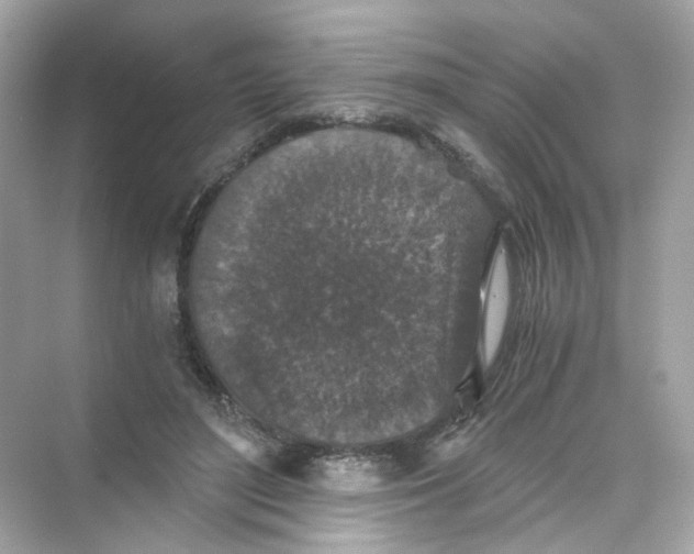 X0000069810500200606091838