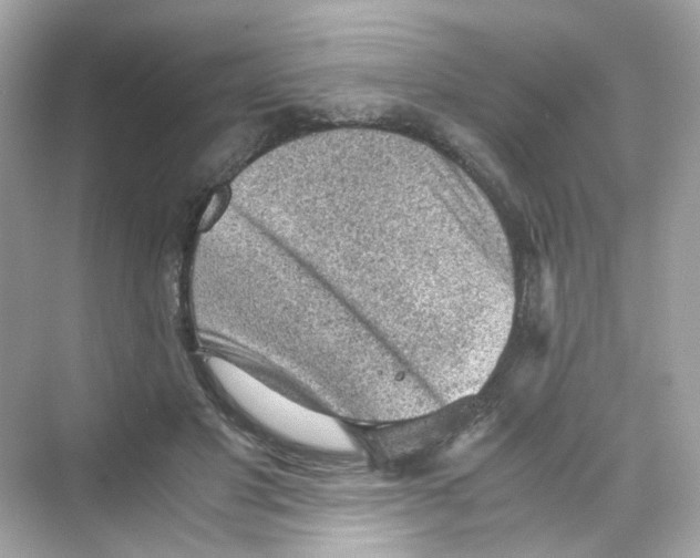 X0000069810501200606091838