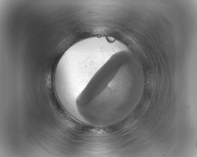 X0000069810502200606091838