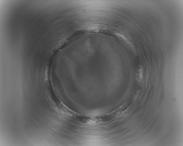 X0000069810504200606091838