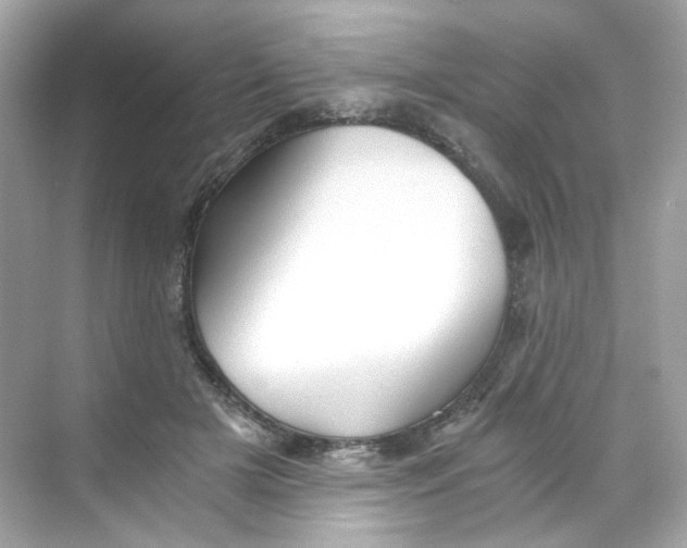 X0000069810505200606091838