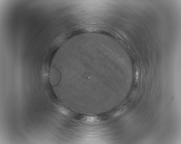 X0000069810507200606091838