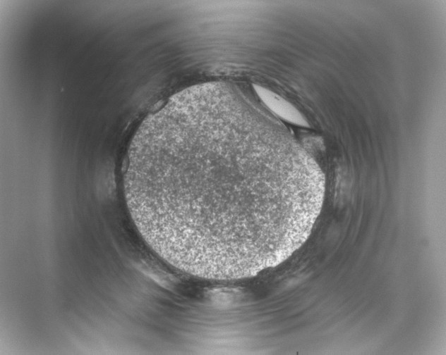 X0000069810508200606091838