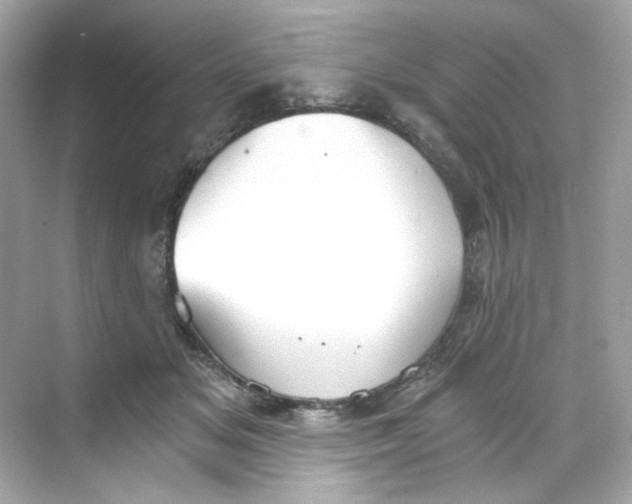 X0000069810509200606091838