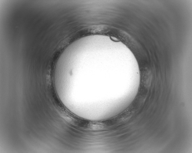 X0000069810510200606091838