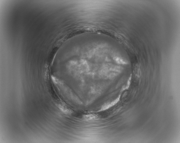 X0000069810511200606091838