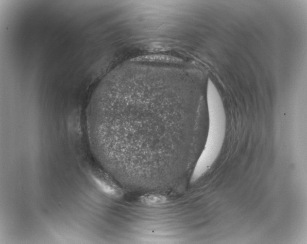 X0000069810512200606091838