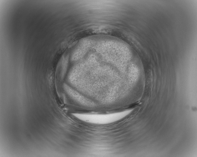 X0000069810513200606091838