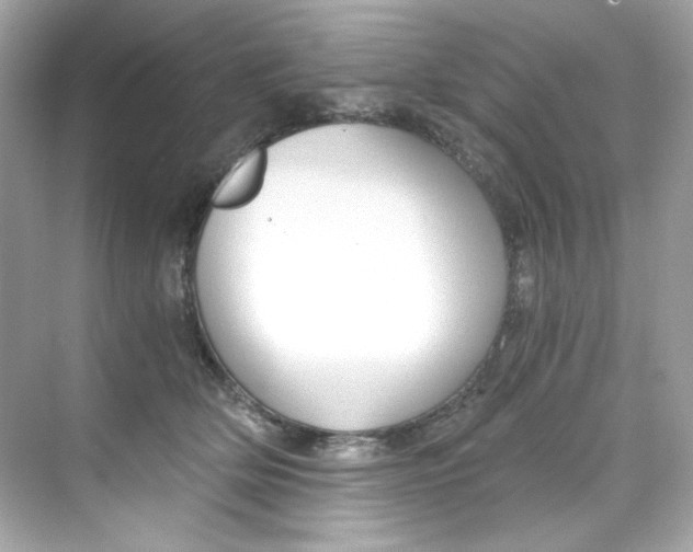 X0000069810514200606091838