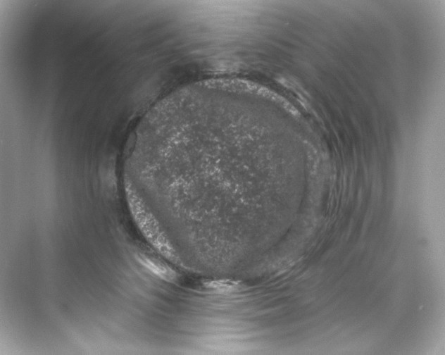 X0000069810516200606091838