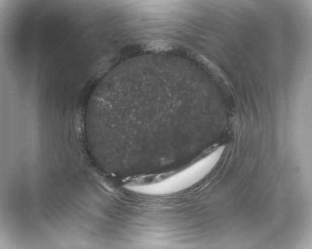 X0000069810517200606091838