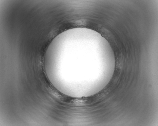 X0000069810518200606091838