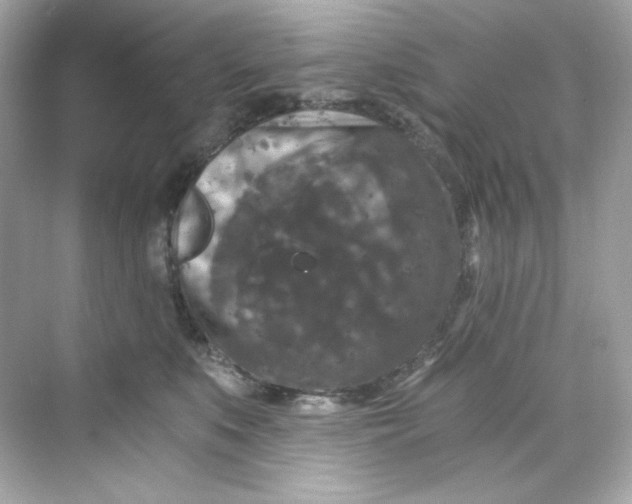 X0000069810519200606091838