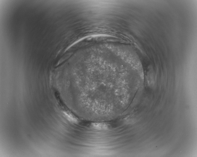 X0000069810520200606091838