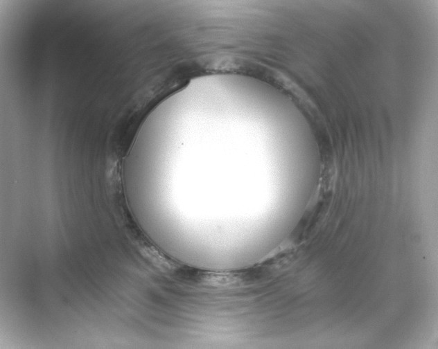 X0000069810521200606091838