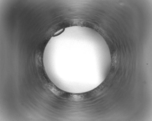 X0000069810522200606091838