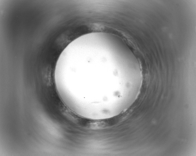 X0000069810525200606091838