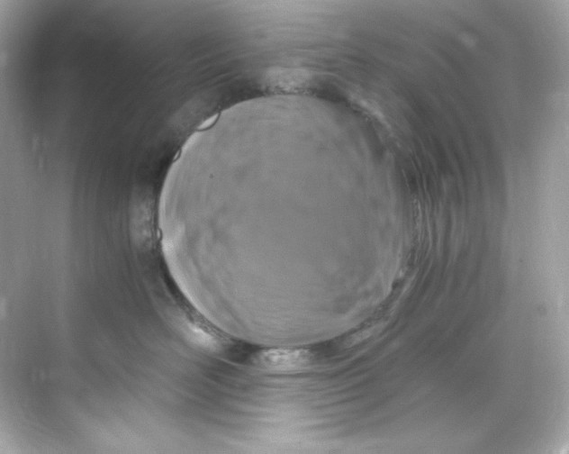 X0000069810526200606091838