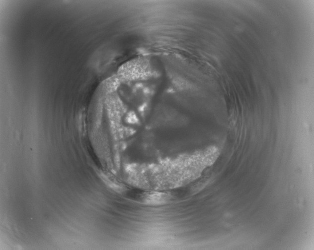 X0000069810527200606091838