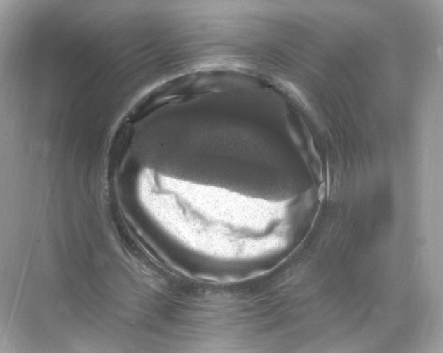 X0000069810531200606091837