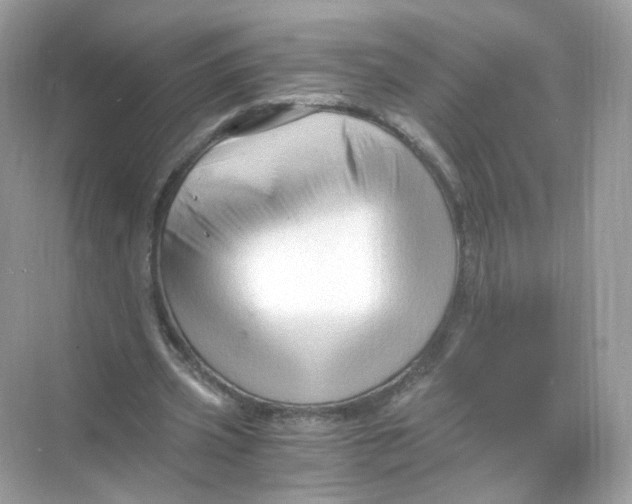 X0000069810533200606091837