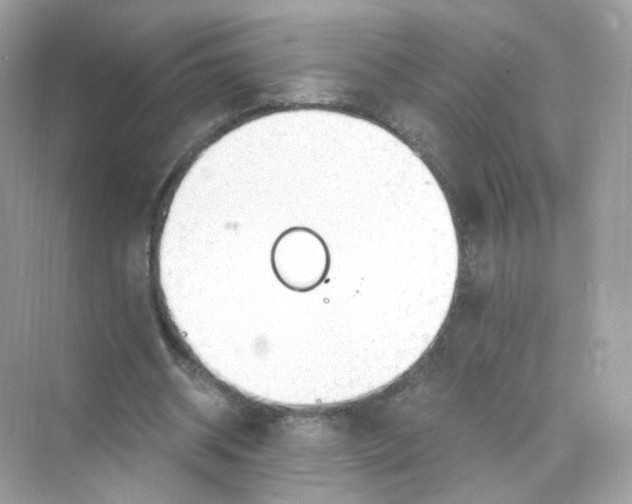 X0000069810534200606091837