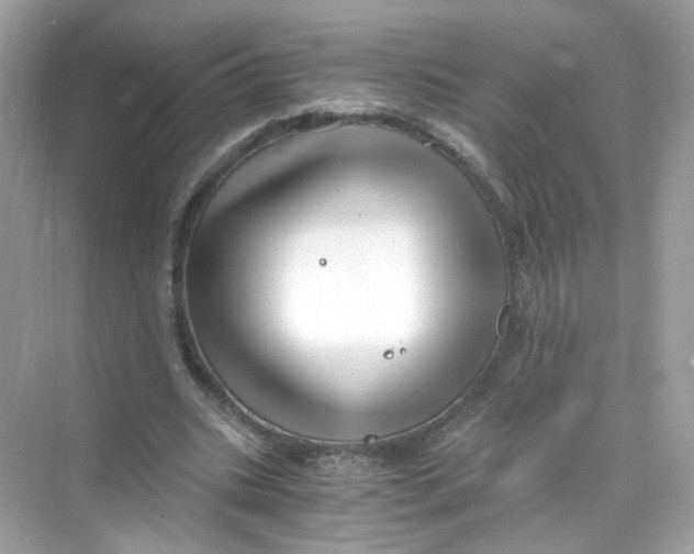 X0000069810535200606091837